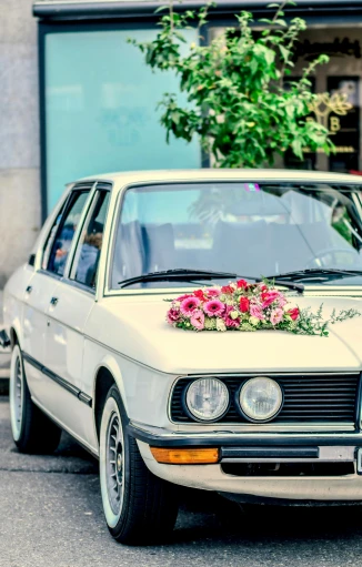 the car has flowers in the window box