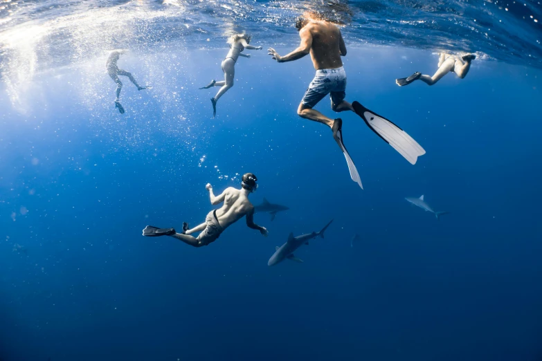 a man standing on a paddle board underwater in the water while others swim behind him