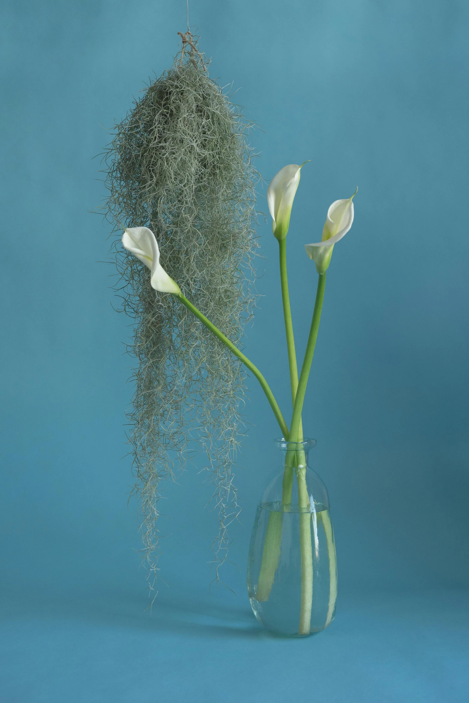 flowers in vase with sand on the bottom