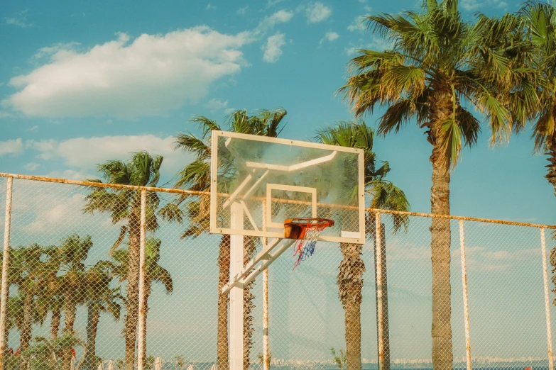 an empty basketball hoop in between two palm trees