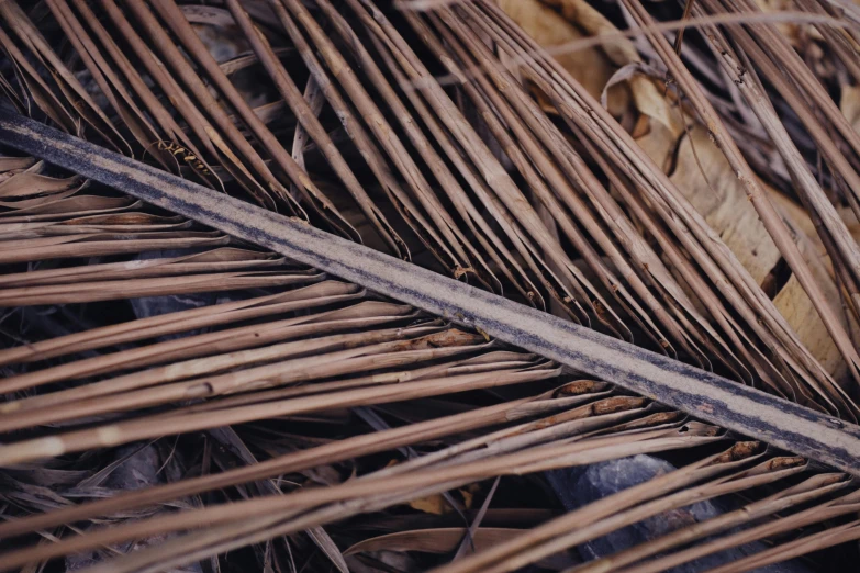 a close up of the end of a woven palm tree