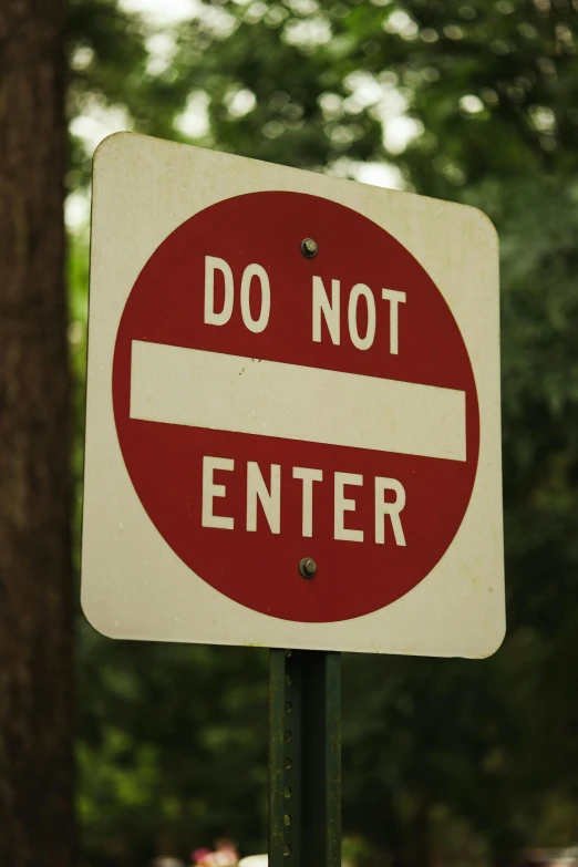 a close up of a do not enter sign near trees