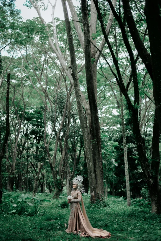 a dress in a grassy area with trees