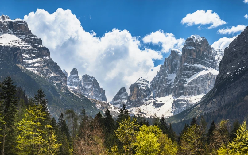 mountains, trees and clouds covered in snow