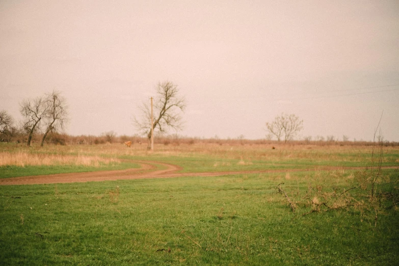 an open field with trees on it, a dirt track, and grass