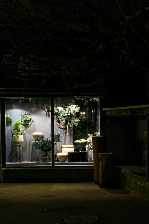 inside a shop at night with illuminated flowers and furniture