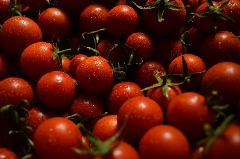 a lot of red tomatoes together in a bin