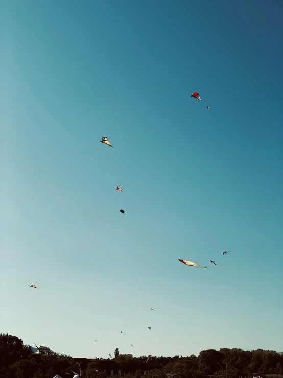 a group of people are flying their kites together