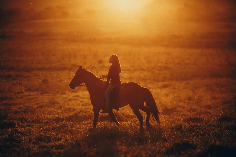 a person is sitting on the back of a horse