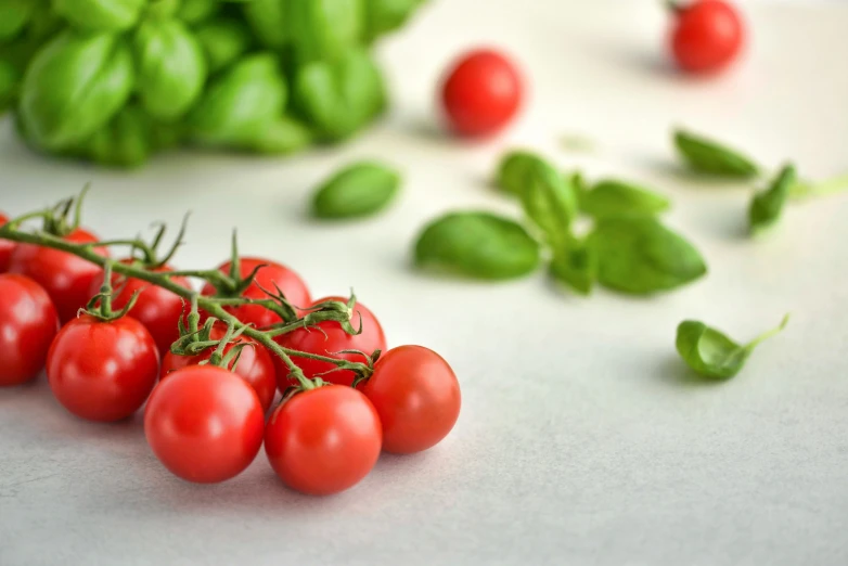 tomatoes and basil on a table and on a white table