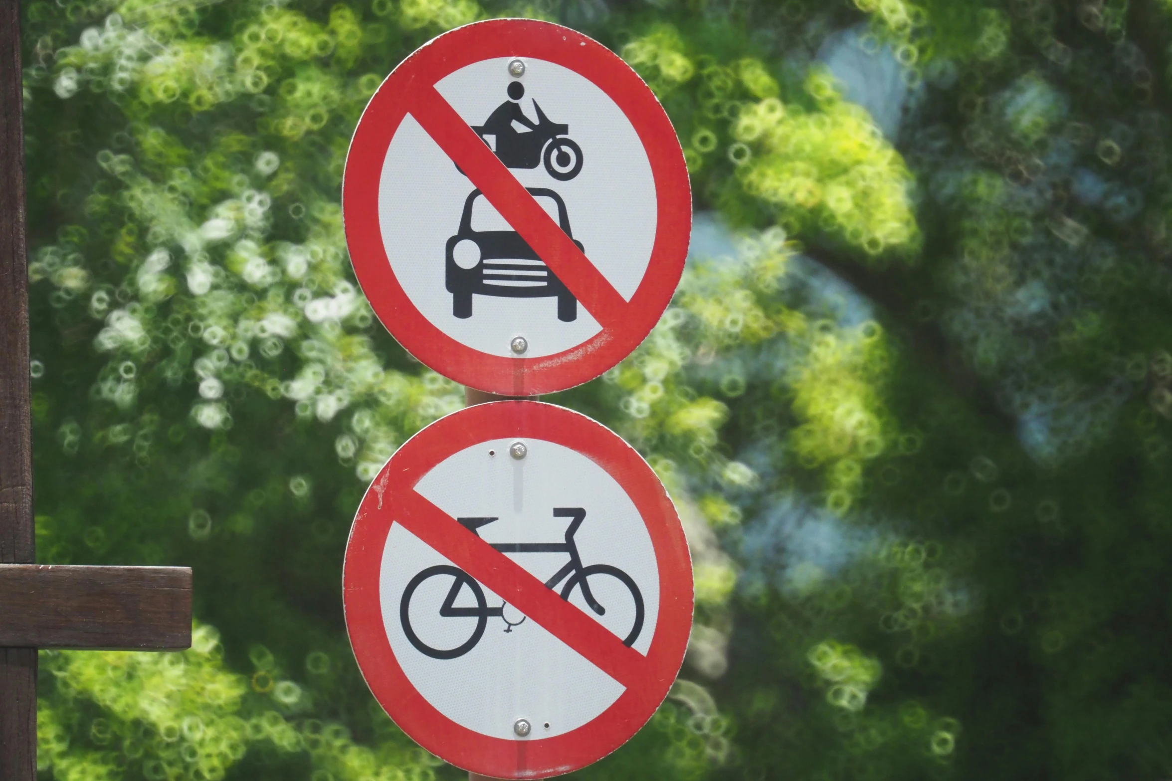 two signs are attached to a pole in front of green trees