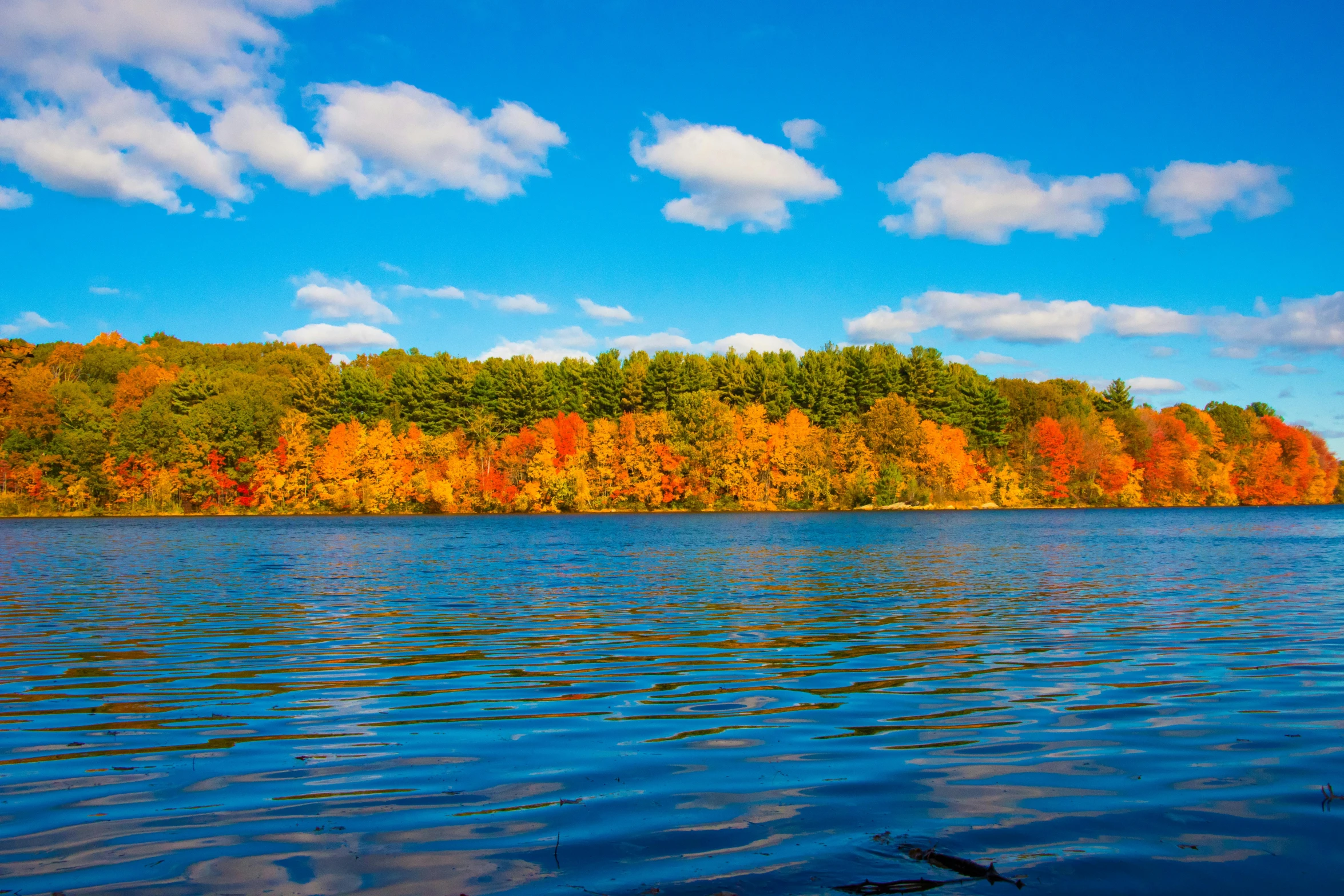 a beautiful fall scene with trees lining the shore