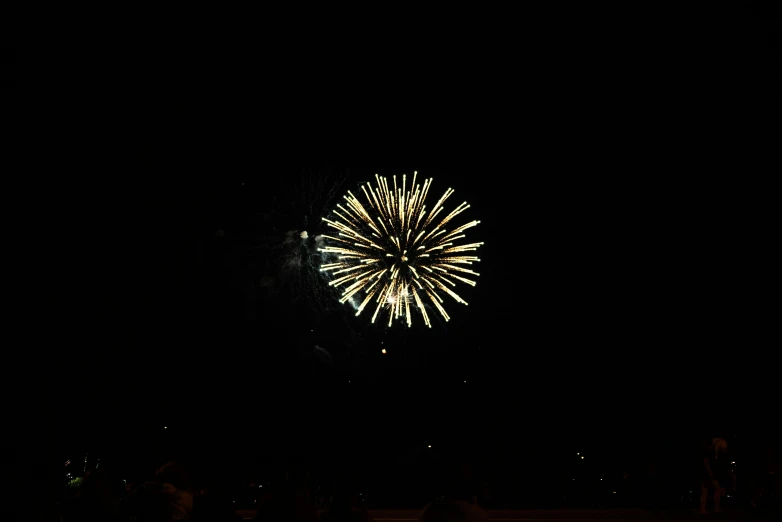 a large white and yellow firework in the dark sky