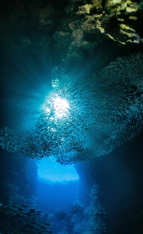 a water view from a submarine in blue light