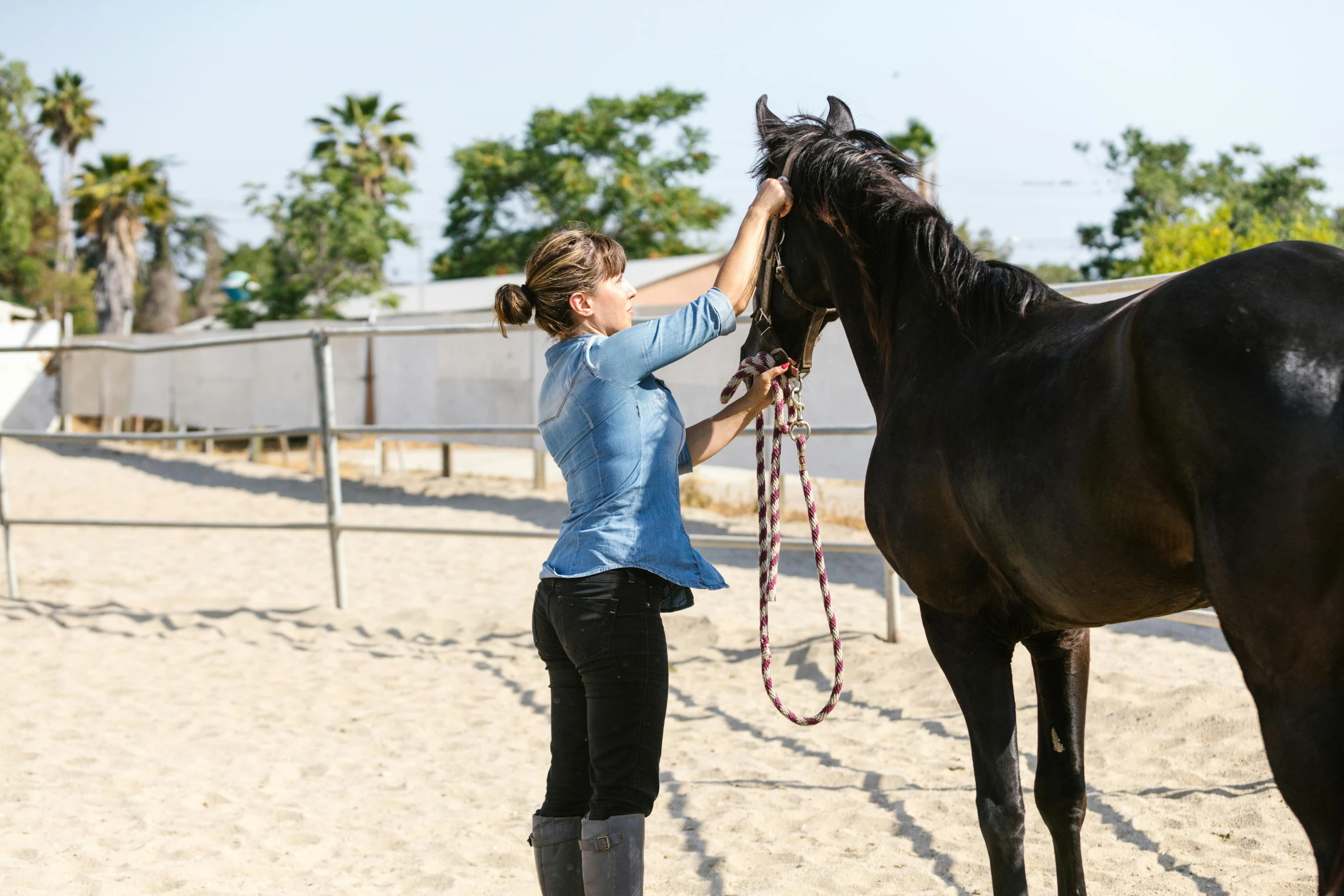 the girl is helping the horse to show it its new bond