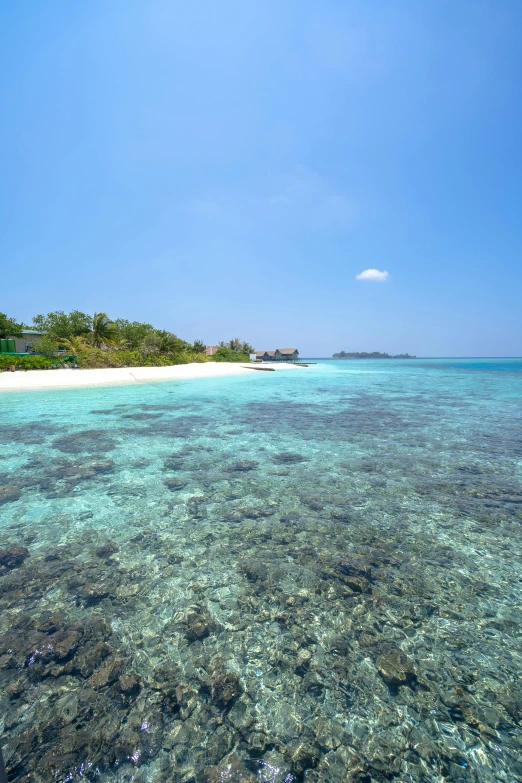 a view of the ocean, the ocean floor and some houses on a beach