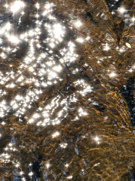 the camera lens is reflecting sunlight on a rock and tree