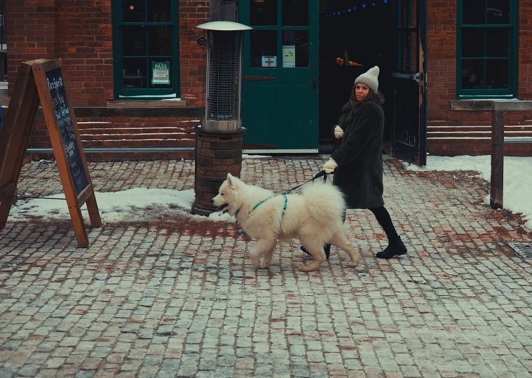 a woman walks her small white dog on the side walk