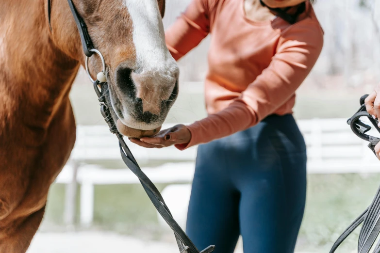 a horse and its trainer standing in front of a white fence