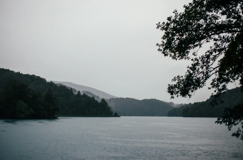 a lake surrounded by trees with mist rolling on the water