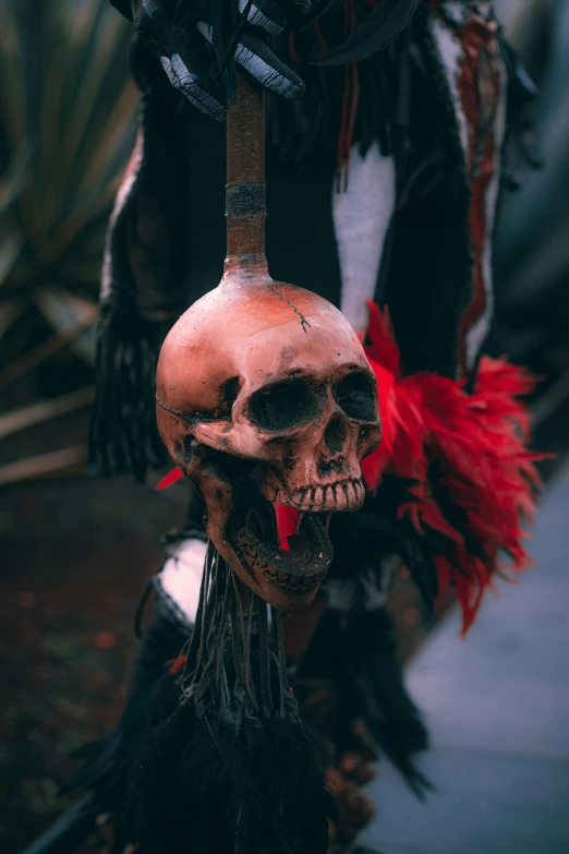 a skull hanging from a rope with a feather on it