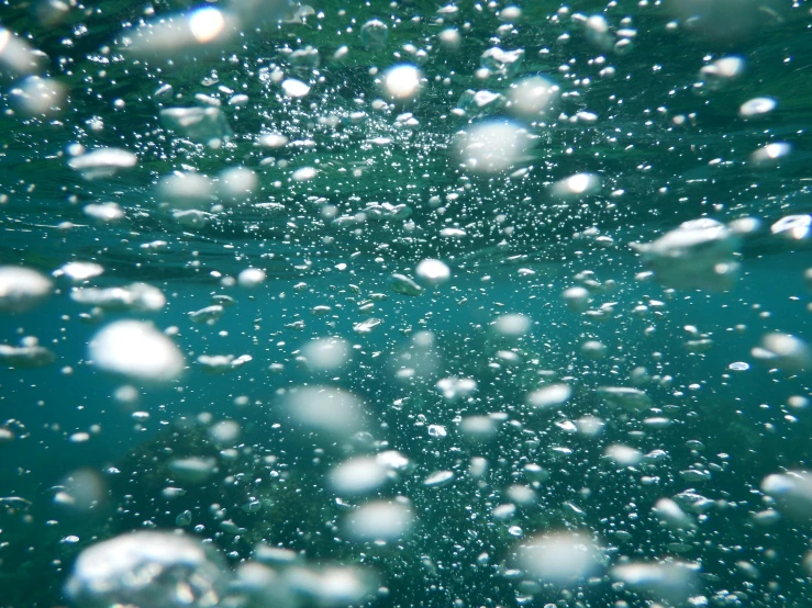 bubbles are floating in the water beneath the surface