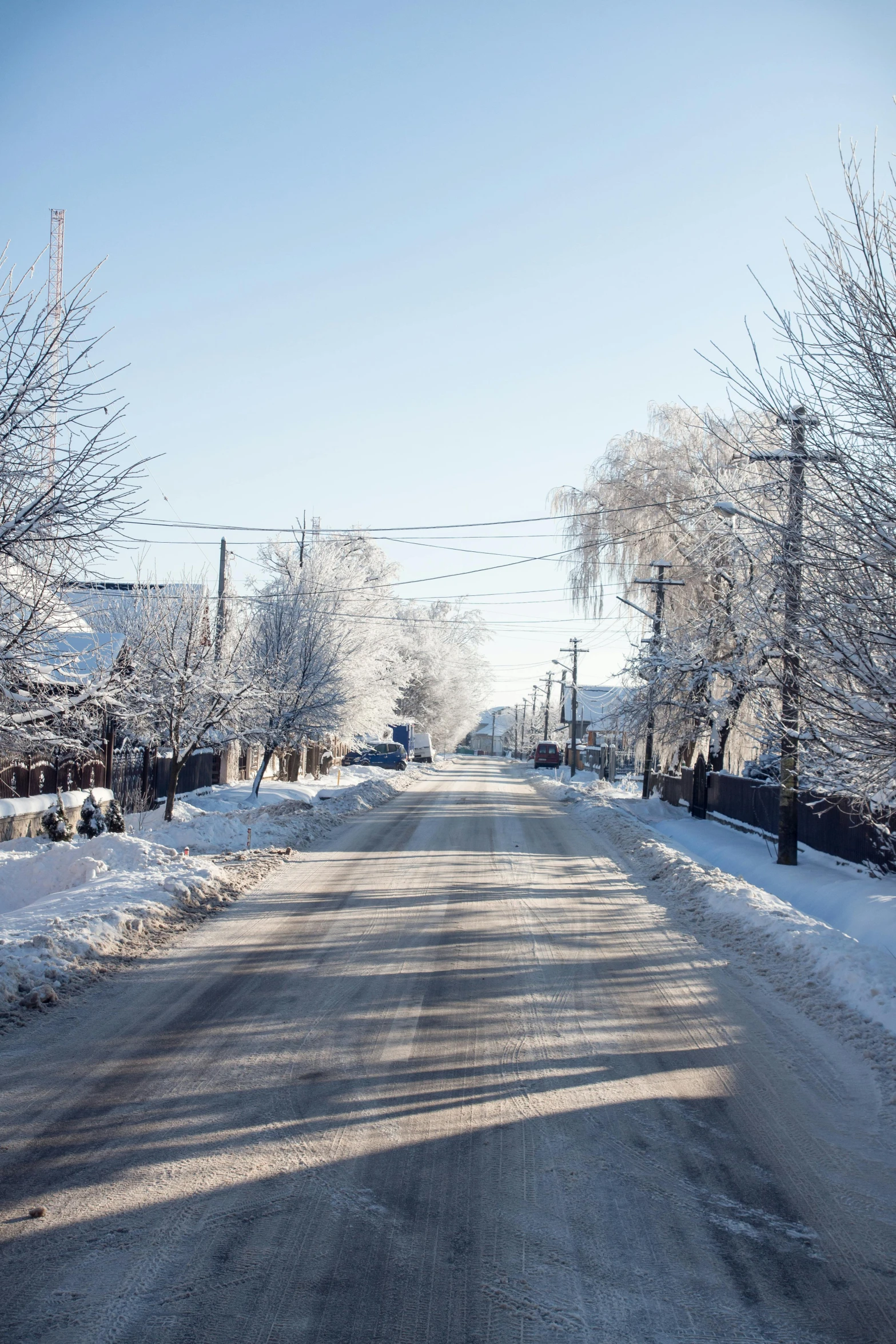 a road with many trees in the snow