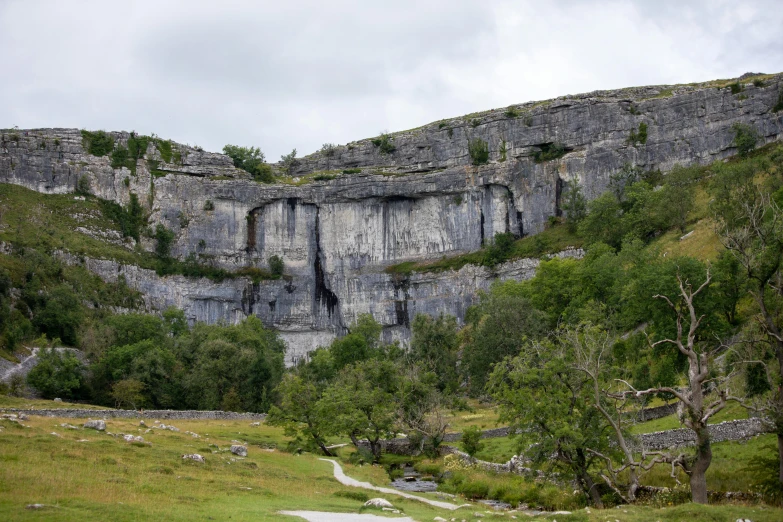 the rock faces are tall and have trees growing out of them