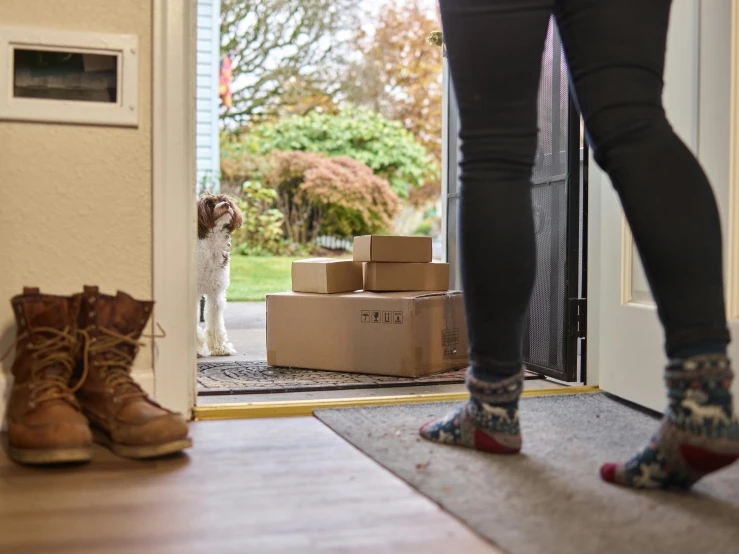 a dog standing on a rug next to a door and a boot