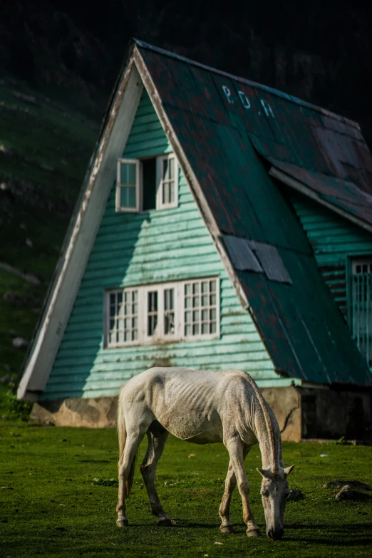 a horse standing outside of a green house with a steeped roof