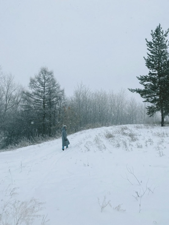 a person walking up a snow covered hill next to a forest