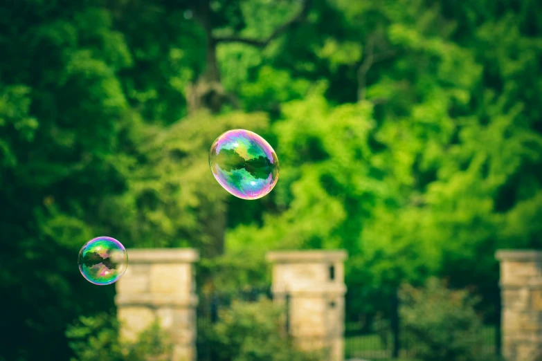 two soap bubbles hanging from the air near a forest