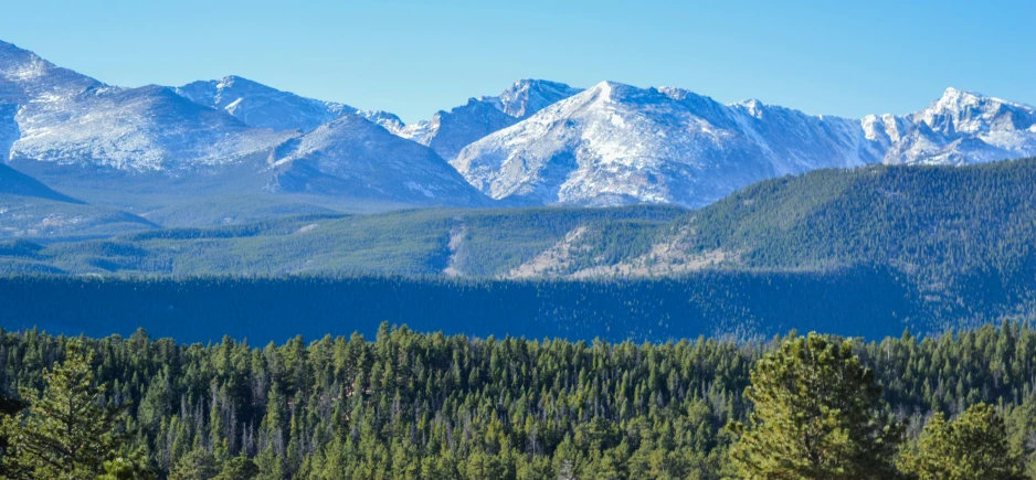 a view of a mountainside with trees and bushes