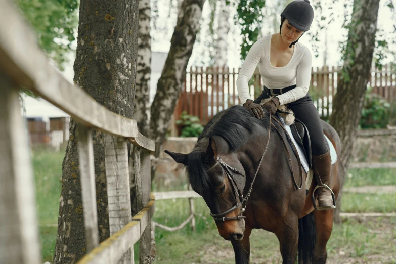 a woman riding on the back of a brown horse