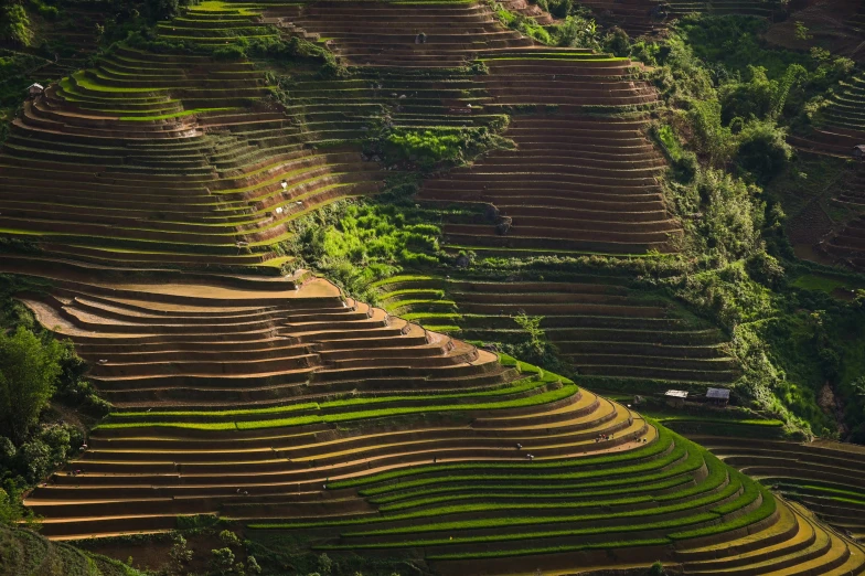 a large brown mountain with very many terraces