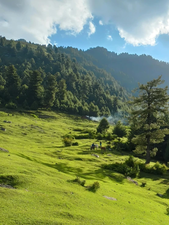 a green grassy field with a small stream of water