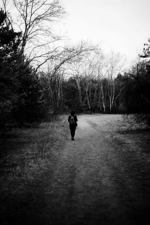 a person walking down a trail with some trees