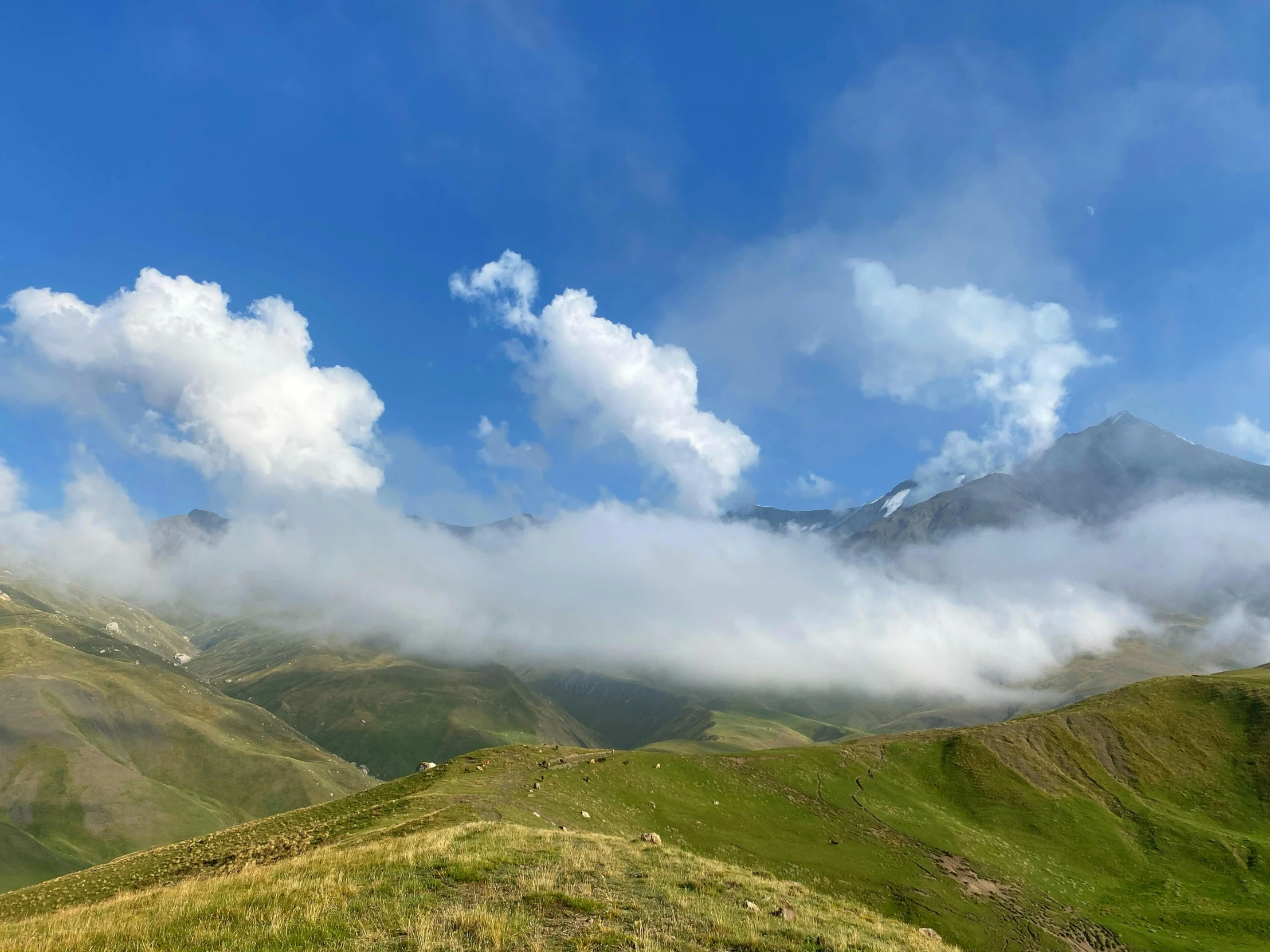 a group of hills with grass on both sides