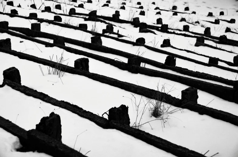 a long row of wooden posts covered in snow