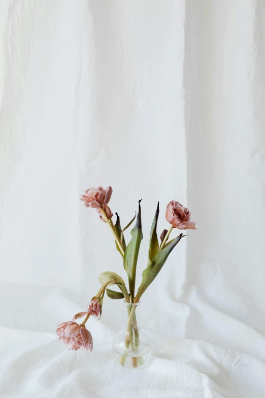 there are pink flowers in a clear glass vase