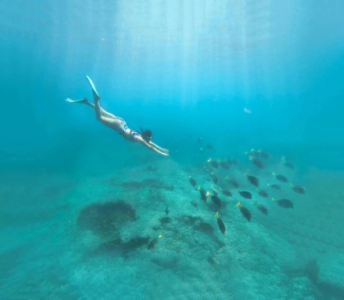 a girl swimming in the ocean while other fish watch her