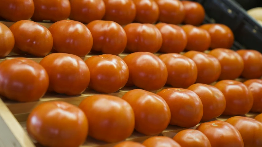 some kind of tomatoes are arranged on a tray