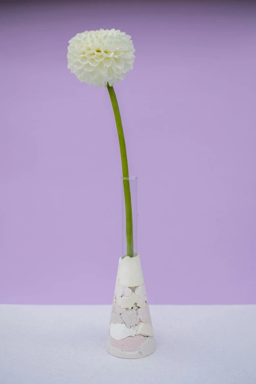 a flower sitting in a vase on a purple background