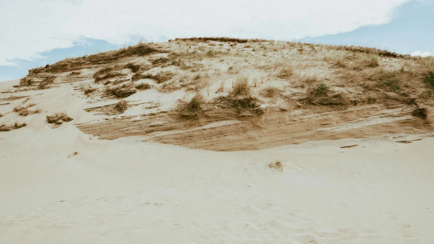 a group of people that are in the sand