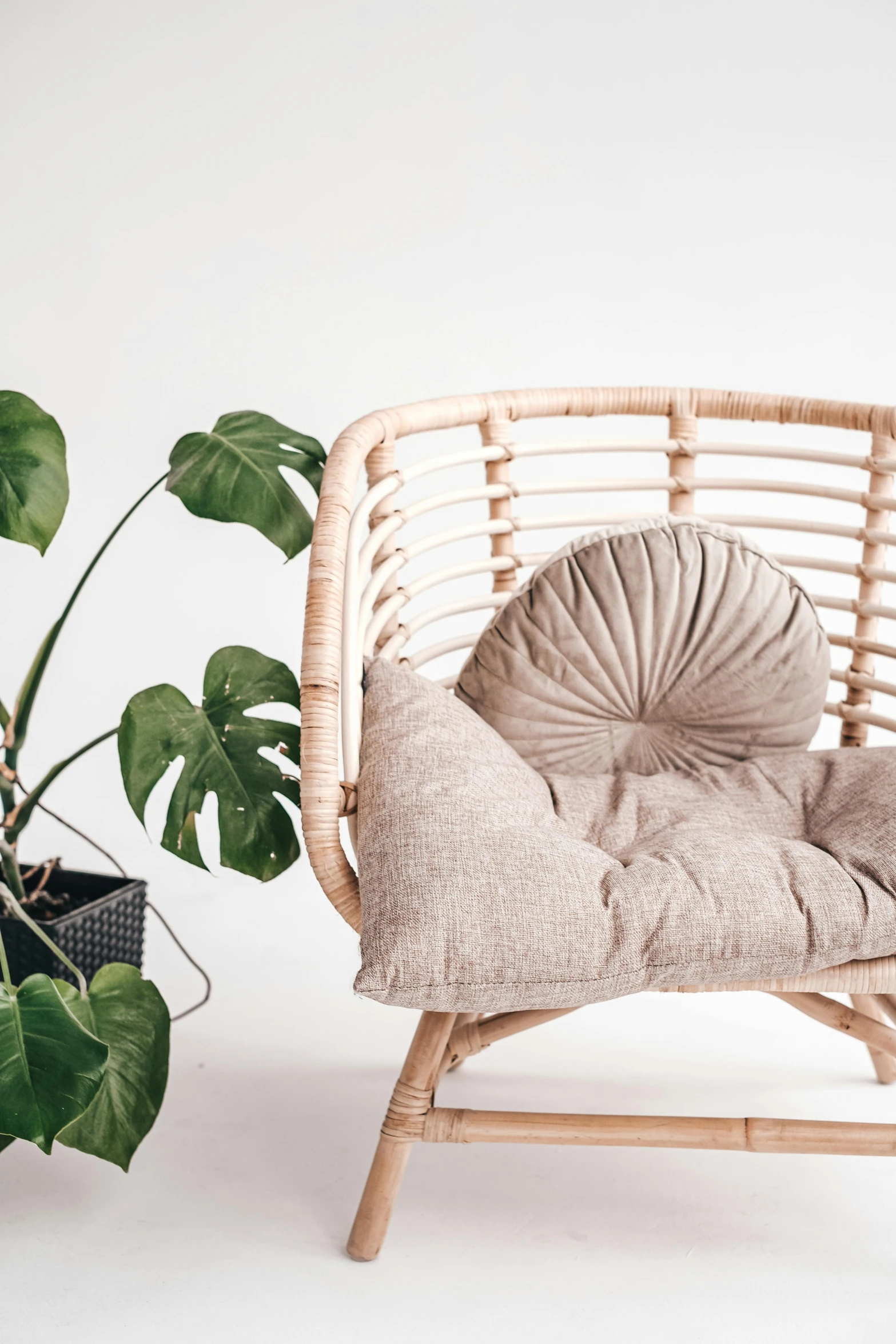 a small wicker chair near a green plant