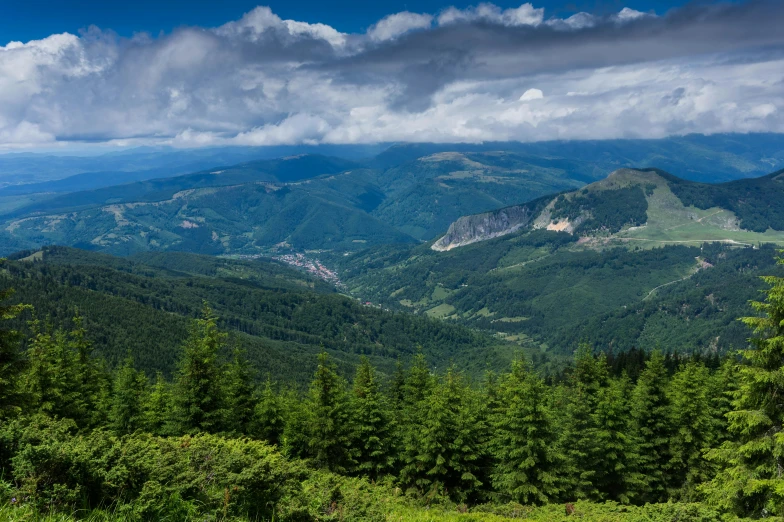 green trees with mountains in the distance