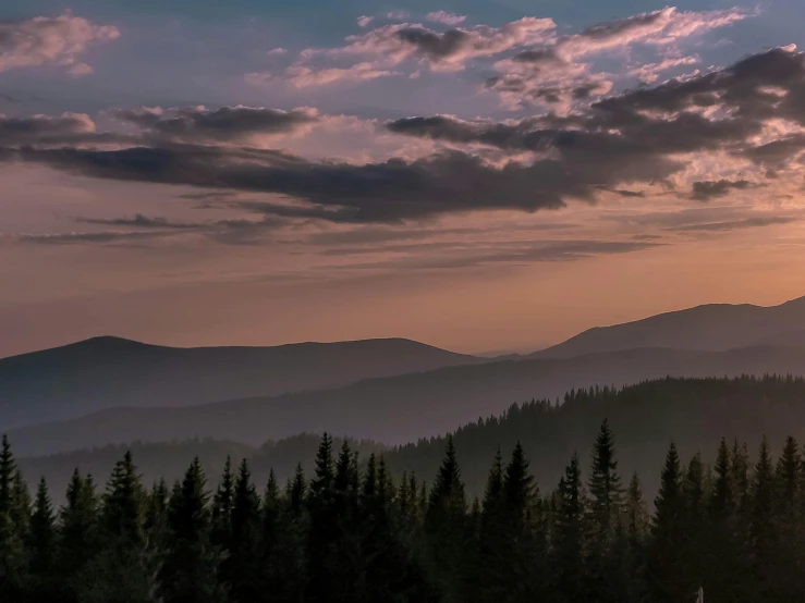 a sunset that is showing some trees