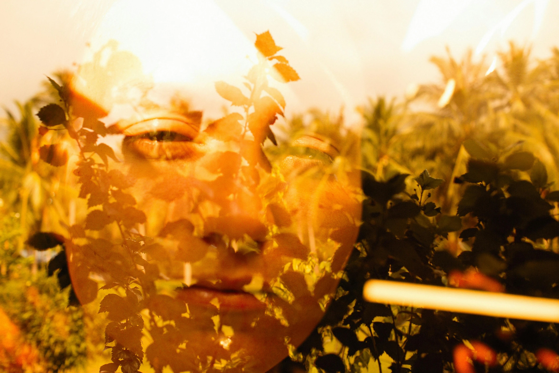 a woman surrounded by plants and leaves and with a frisbee