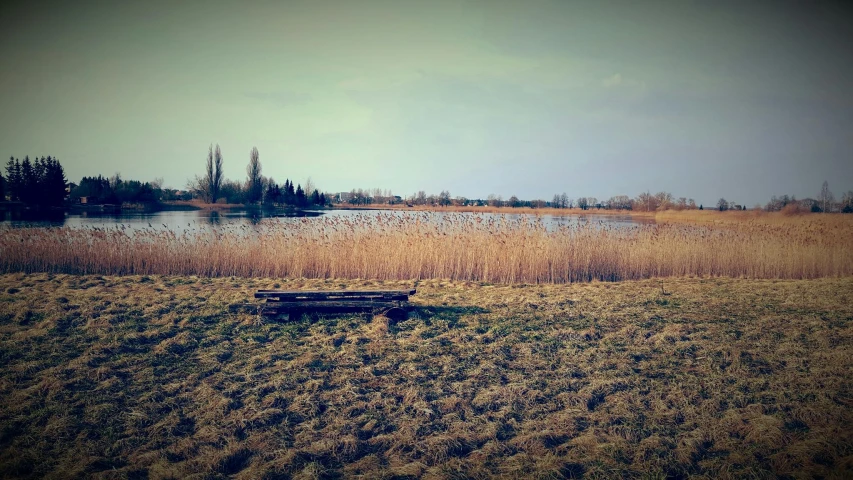 an empty bench is in front of the lake