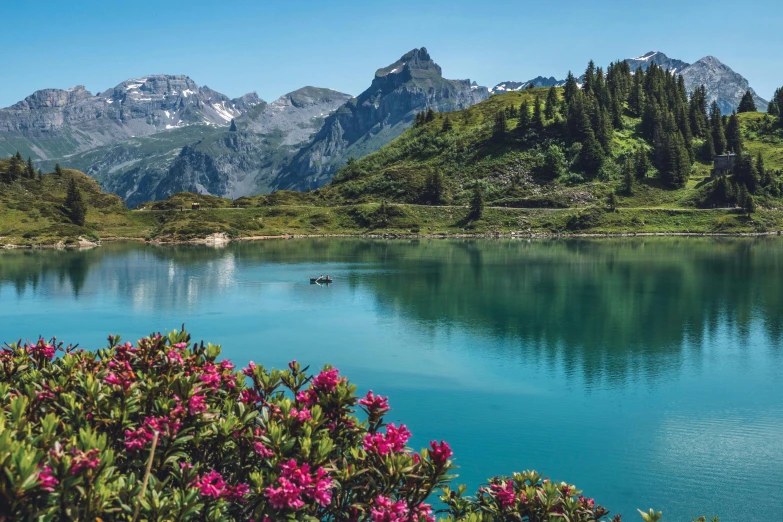 a lake surrounded by mountains is filled with flowers